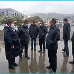 副市長王繼松一行春節(jié)前蒞臨桐梓公司指導工作 