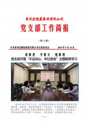 集團(tuán)公司黨支部簡報(bào) 